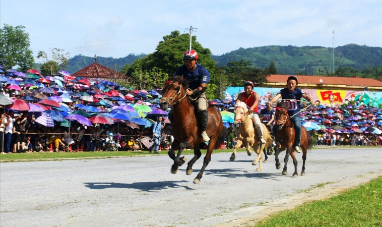 Đua Ngựa Vinbet: Tham Gia Cá Cược Đua Ngựa Siêu Hấp Dẫn 3 Đua Ngựa Vinbet: Tham Gia Cá Cược Đua Ngựa Siêu Hấp Dẫn